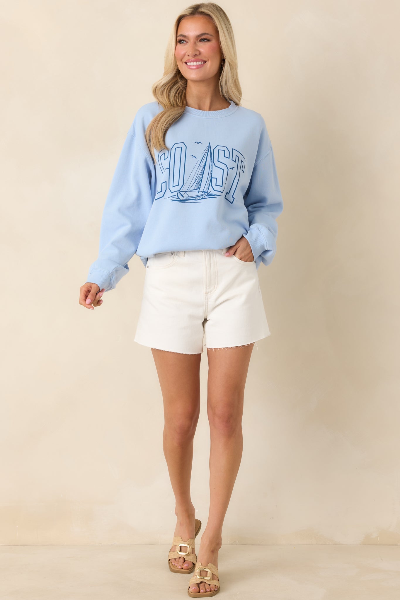Z Supply Light Blue Coast Cotton Boyfriend Sweatshirt