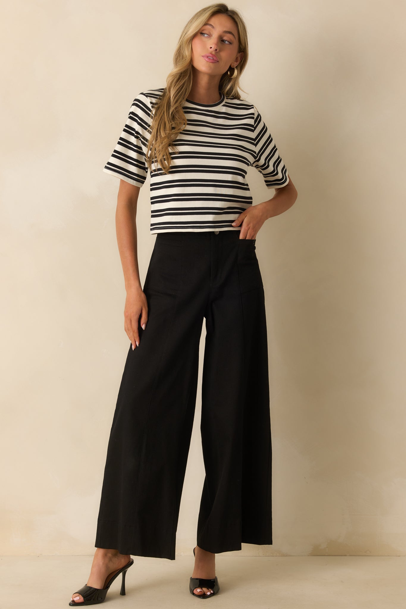 Daylight Glimmer Black Wide Leg Pants