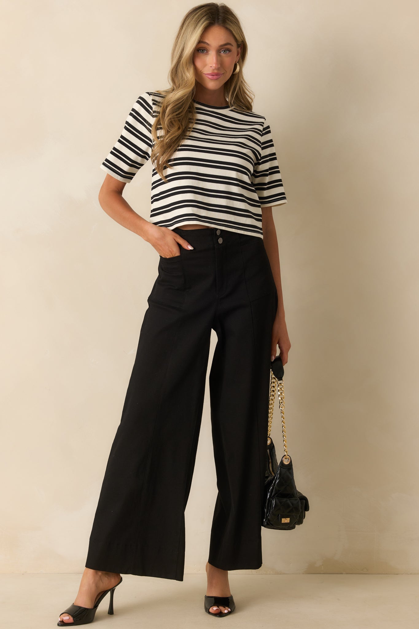 Daylight Glimmer Black Wide Leg Pants