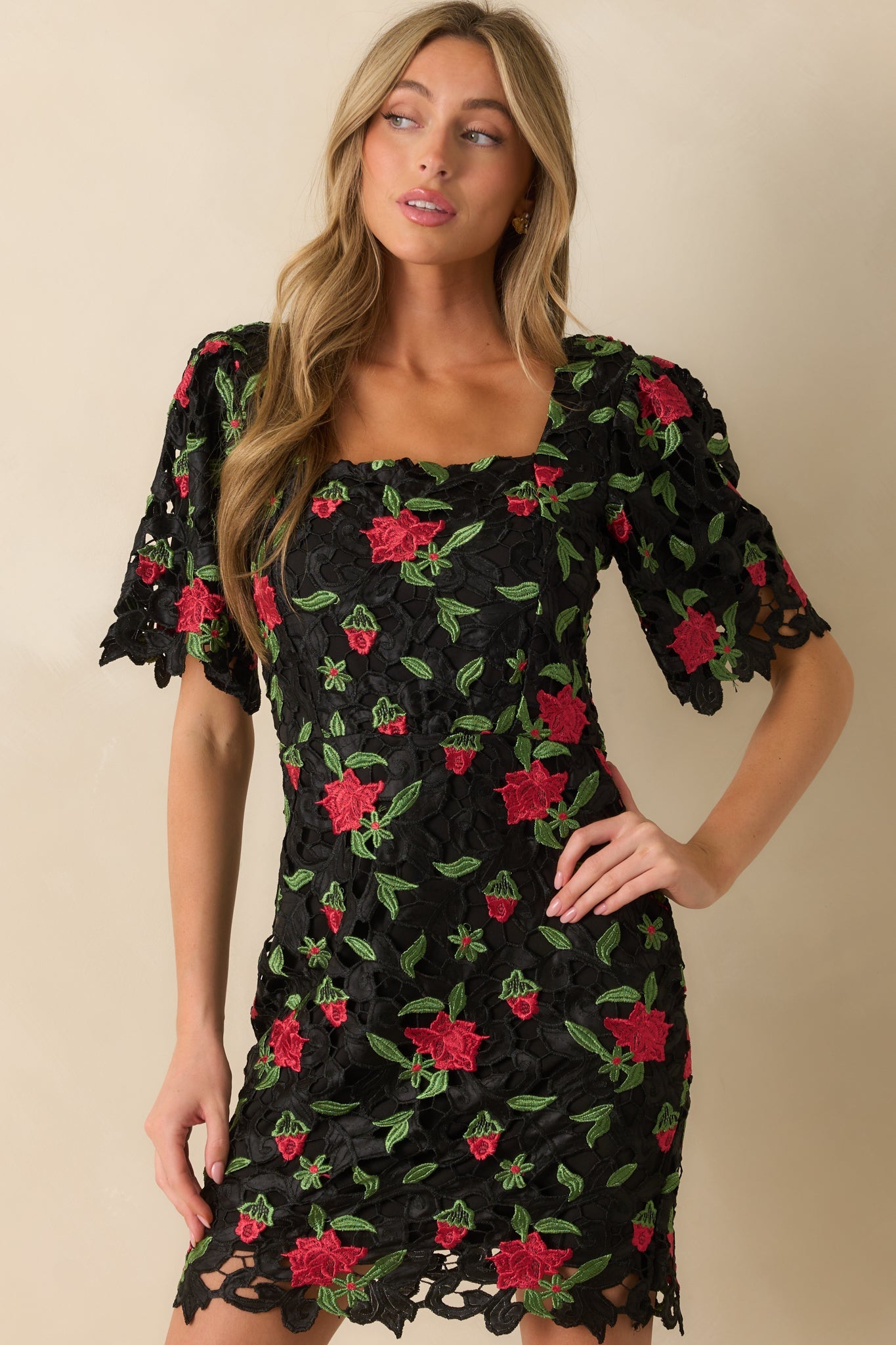 Rosebud Dreams Black Lace Embroidered Mini Dress
