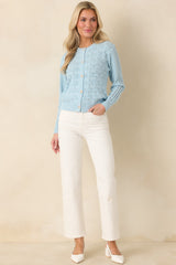 Ever So Classic Light Blue Pointelle Knit Button Front Cardigan