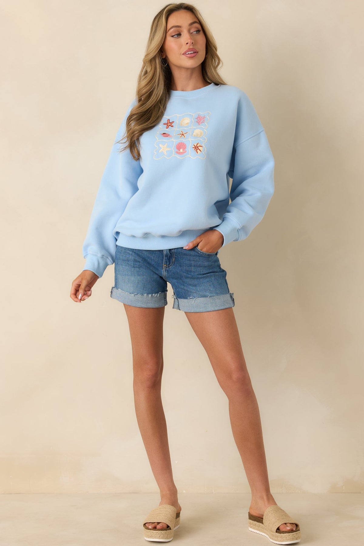 Collected Moments Light Blue Embroidered Crewneck Sweatshirt