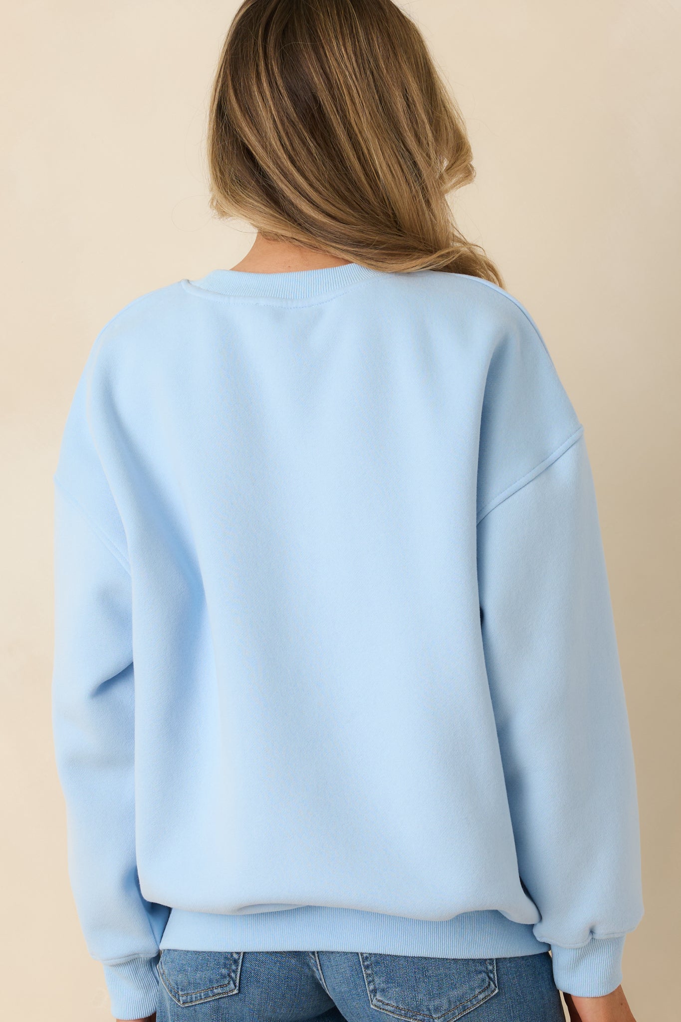 Collected Moments Light Blue Embroidered Crewneck Sweatshirt