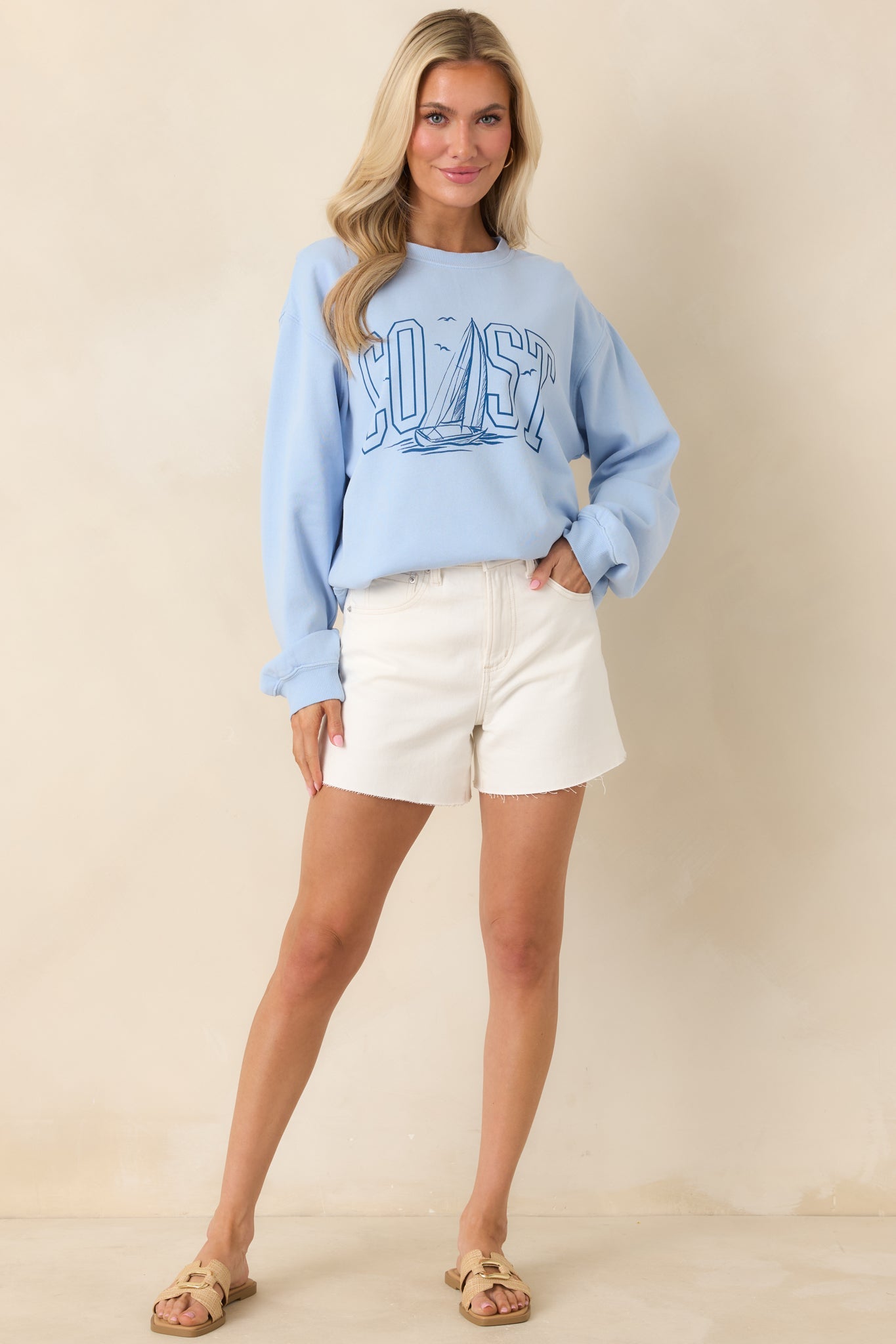 Z Supply Light Blue Coast Cotton Boyfriend Sweatshirt