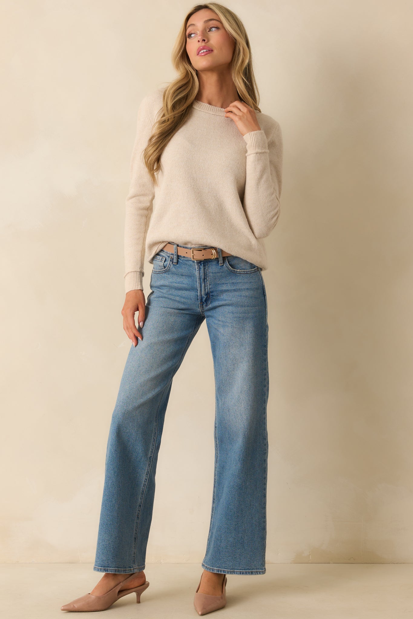Pure Comfort Oatmeal Beige Long Sleeve Crewneck Sweater