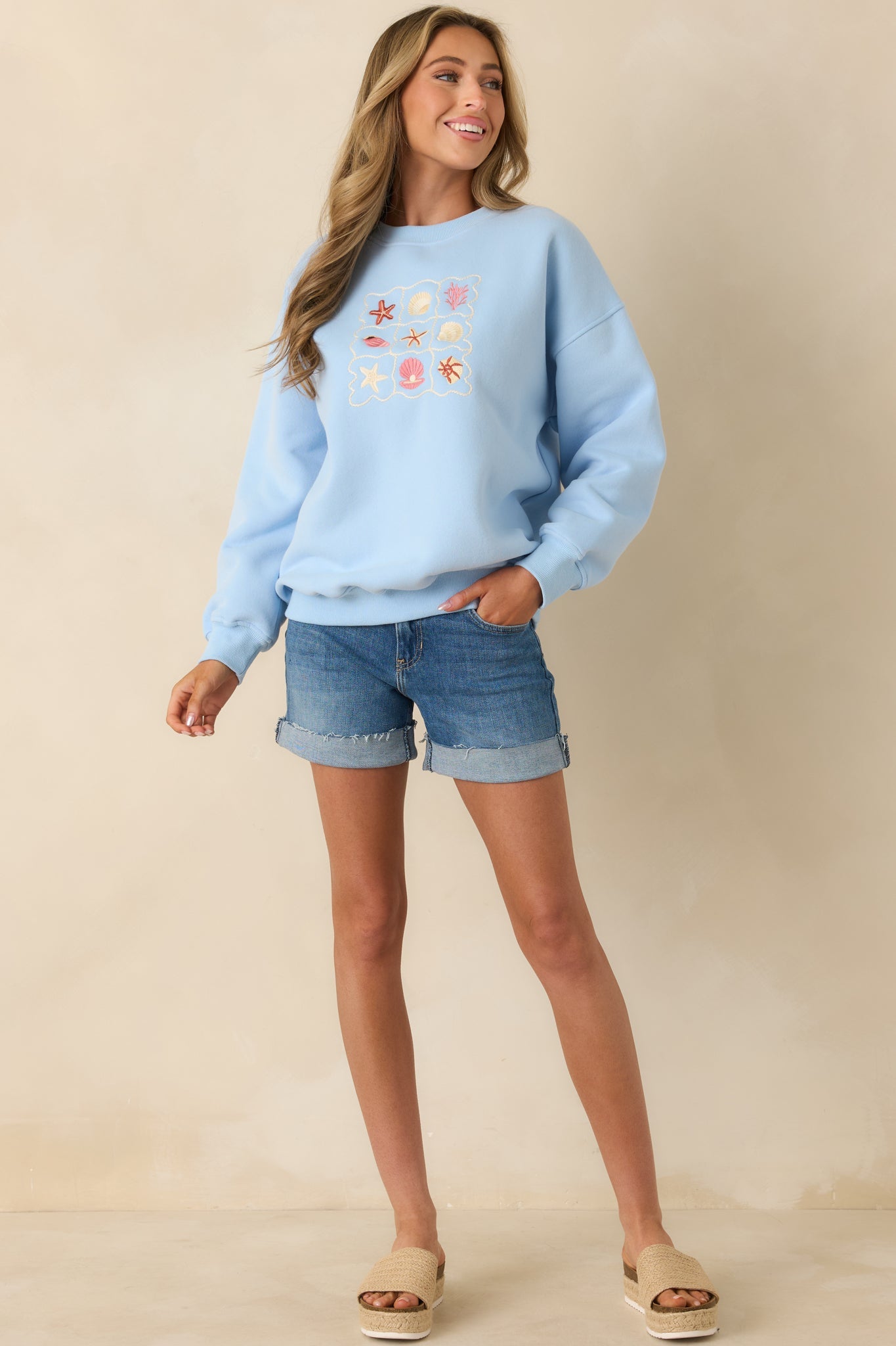 Collected Moments Light Blue Embroidered Crewneck Sweatshirt