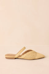 There She Goes Natural Pointed-Toe Woven Raffia Mules