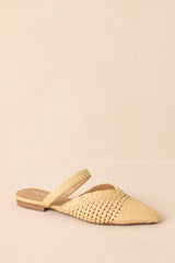 There She Goes Natural Pointed-Toe Woven Raffia Mules