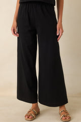 Z Supply Black Cotton Scout Jersey Pants