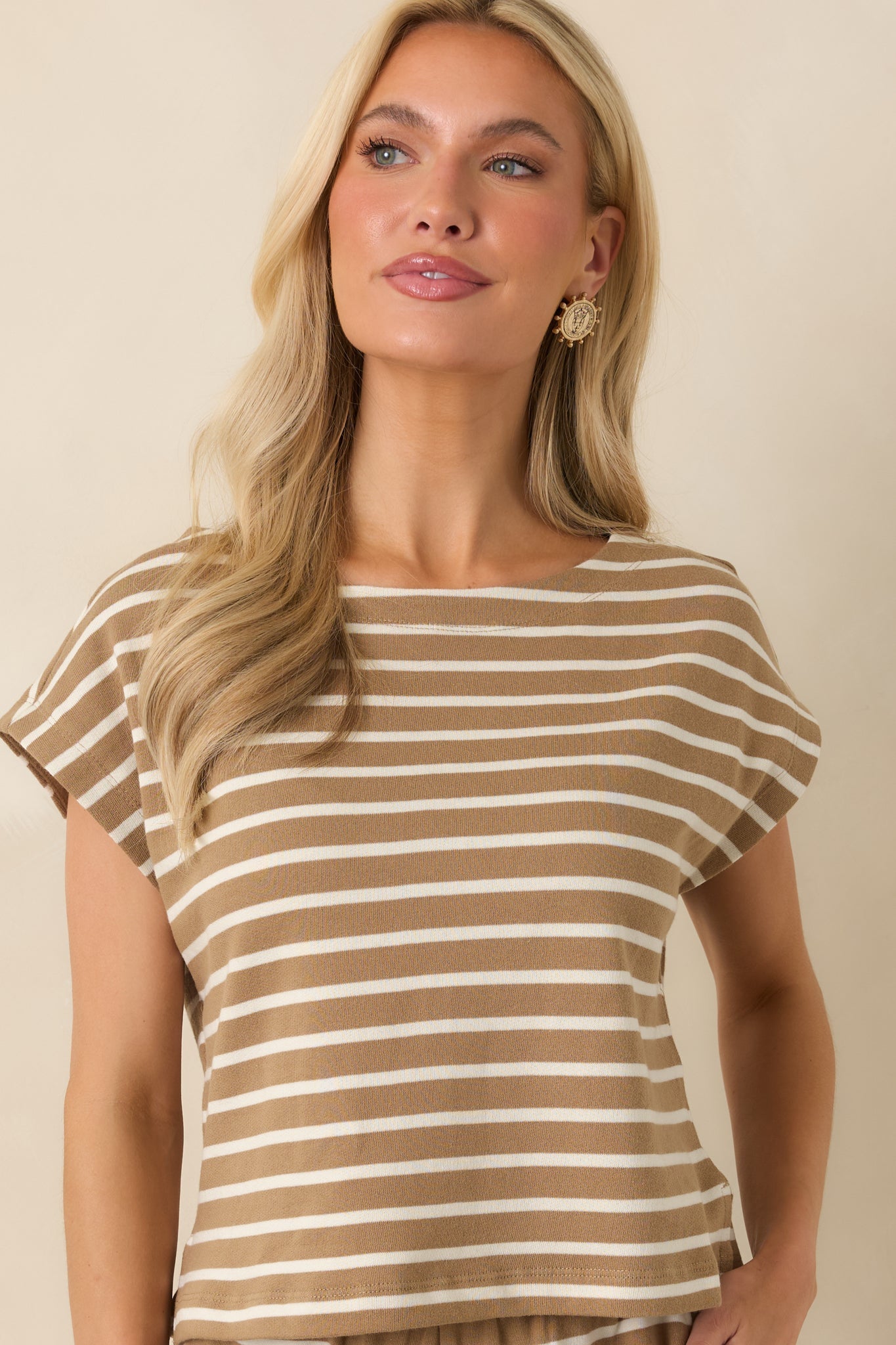 Z Supply Tilly Taro Brown Cotton Stripe Top