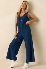 Z Supply Indigo Blue Cotton Scout Jersey Denim Pants
