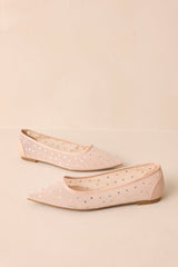 Shining Bright Nude Pointed Toe Mesh Ballet Flats