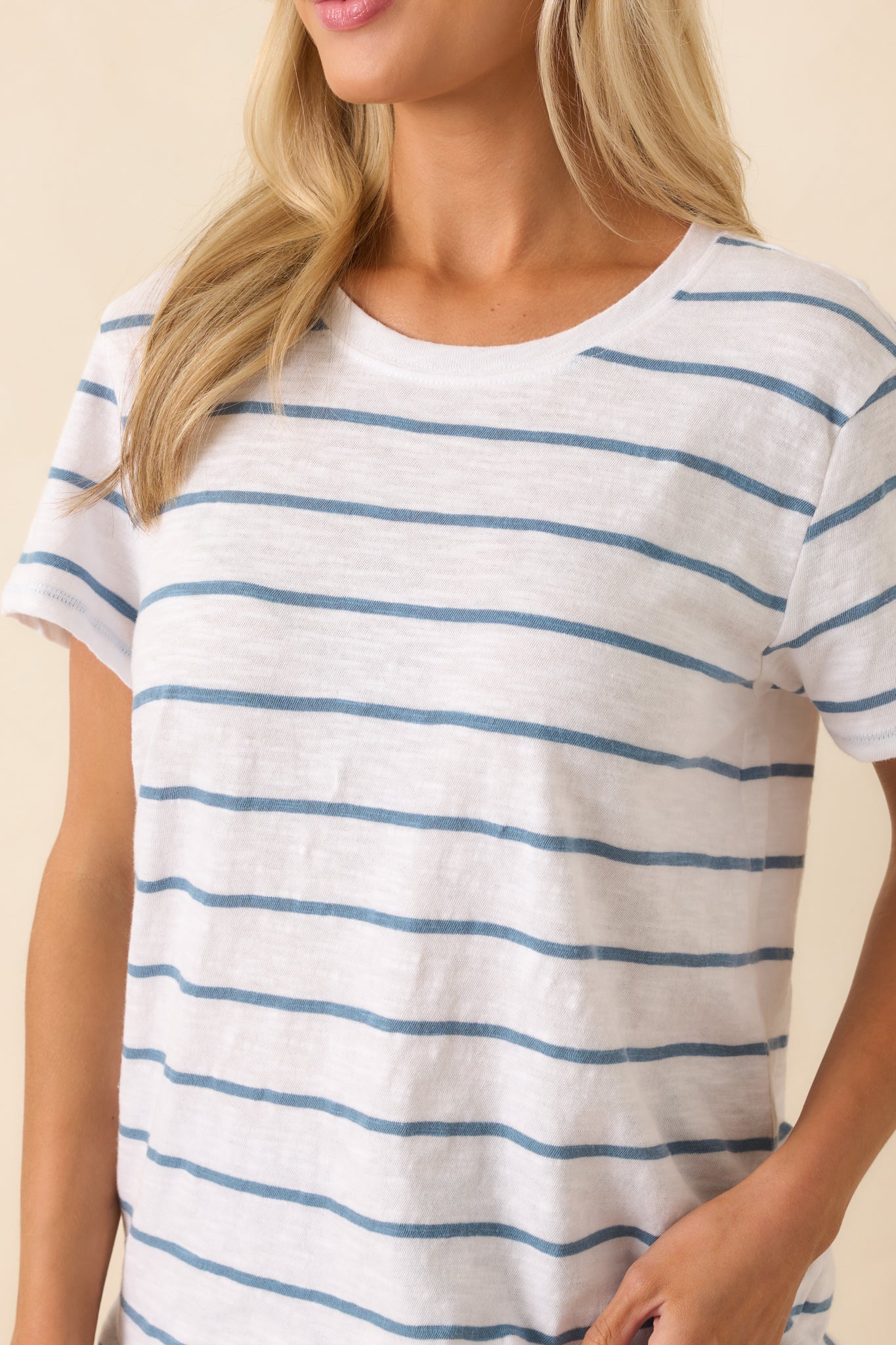 Z Supply Blue Stripe Cotton Foundation Premium Tee