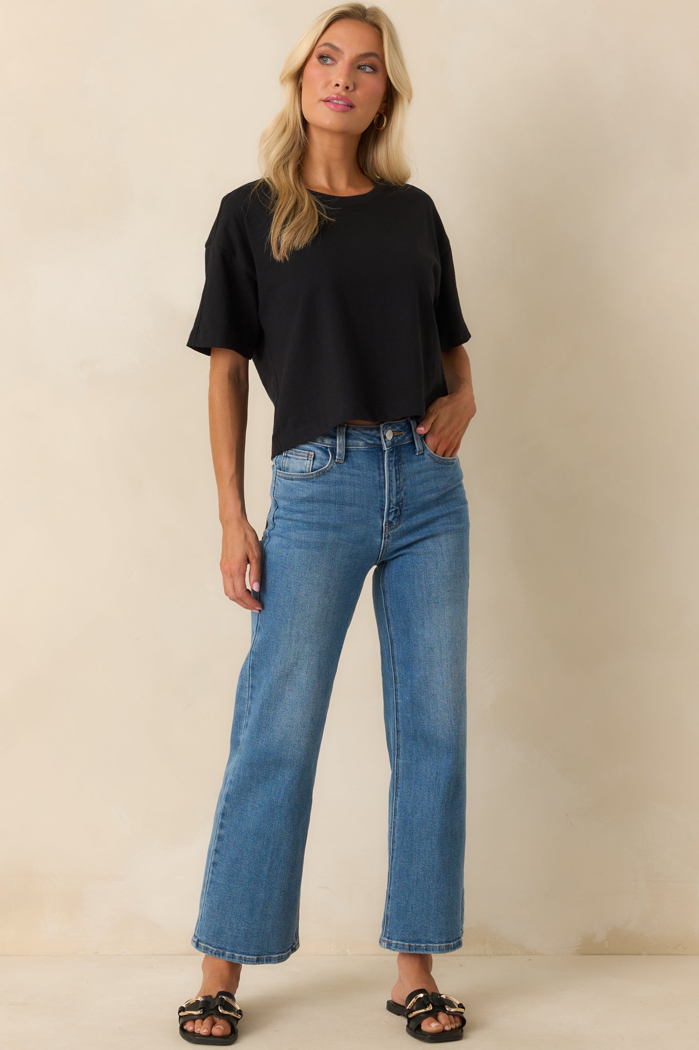 Z Supply Black On The Go Cotton Jersey Tee