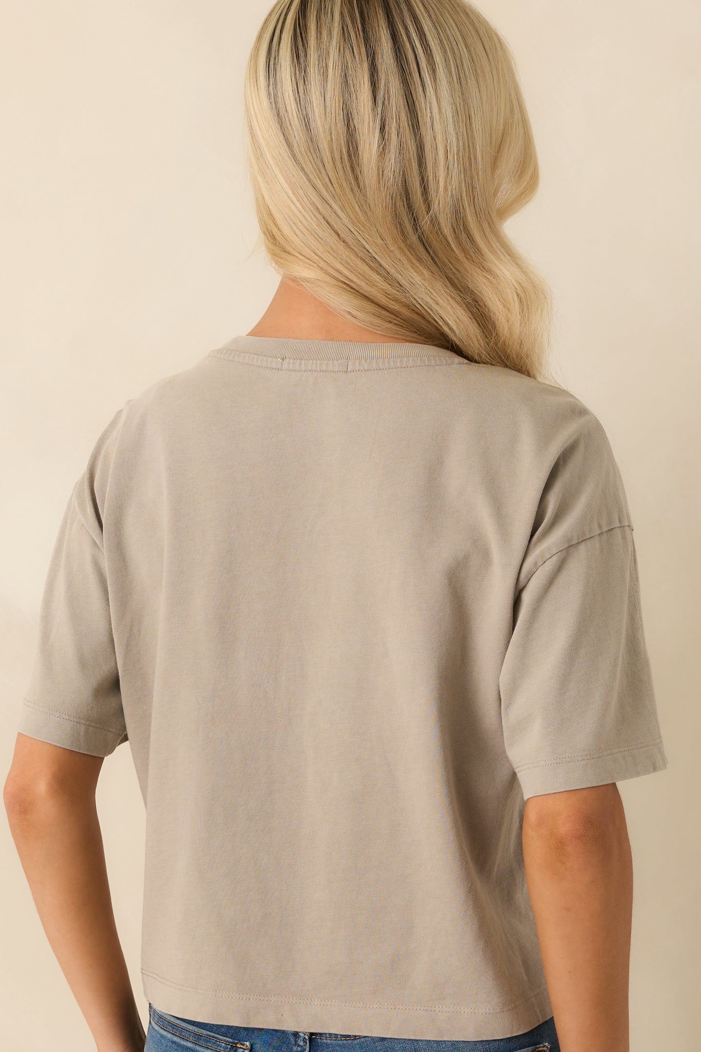 Z Supply Taupe On The Go Cotton Jersey Tee