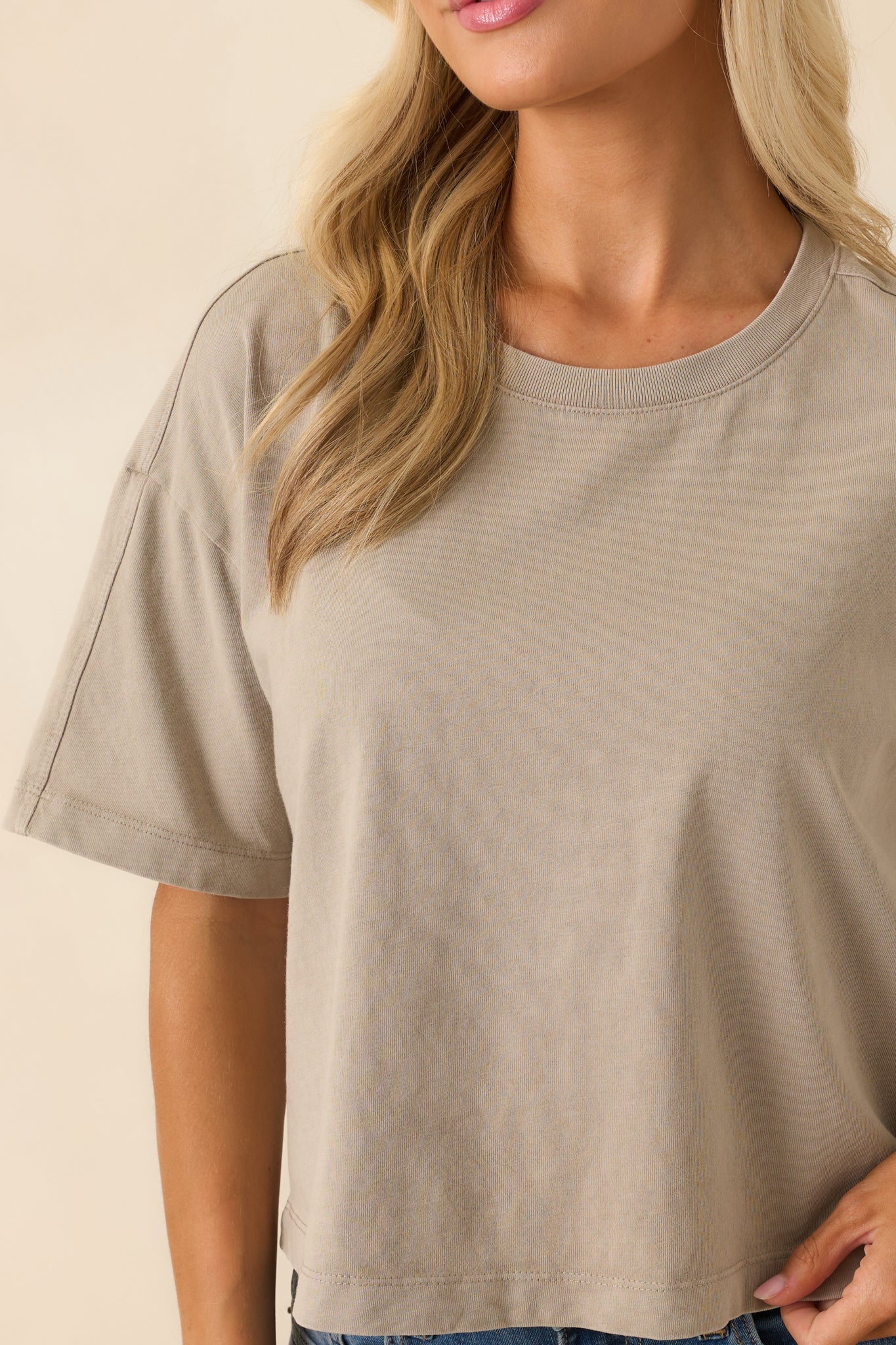 Z Supply Taupe On The Go Cotton Jersey Tee