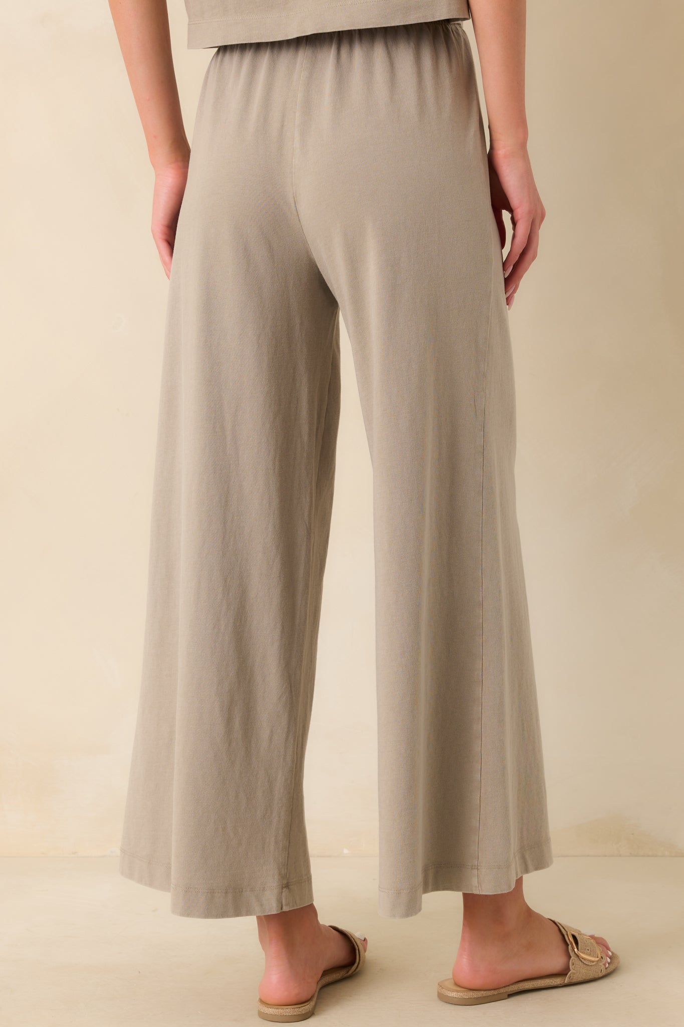 Z Supply Taupe Cotton Scout Jersey Pants