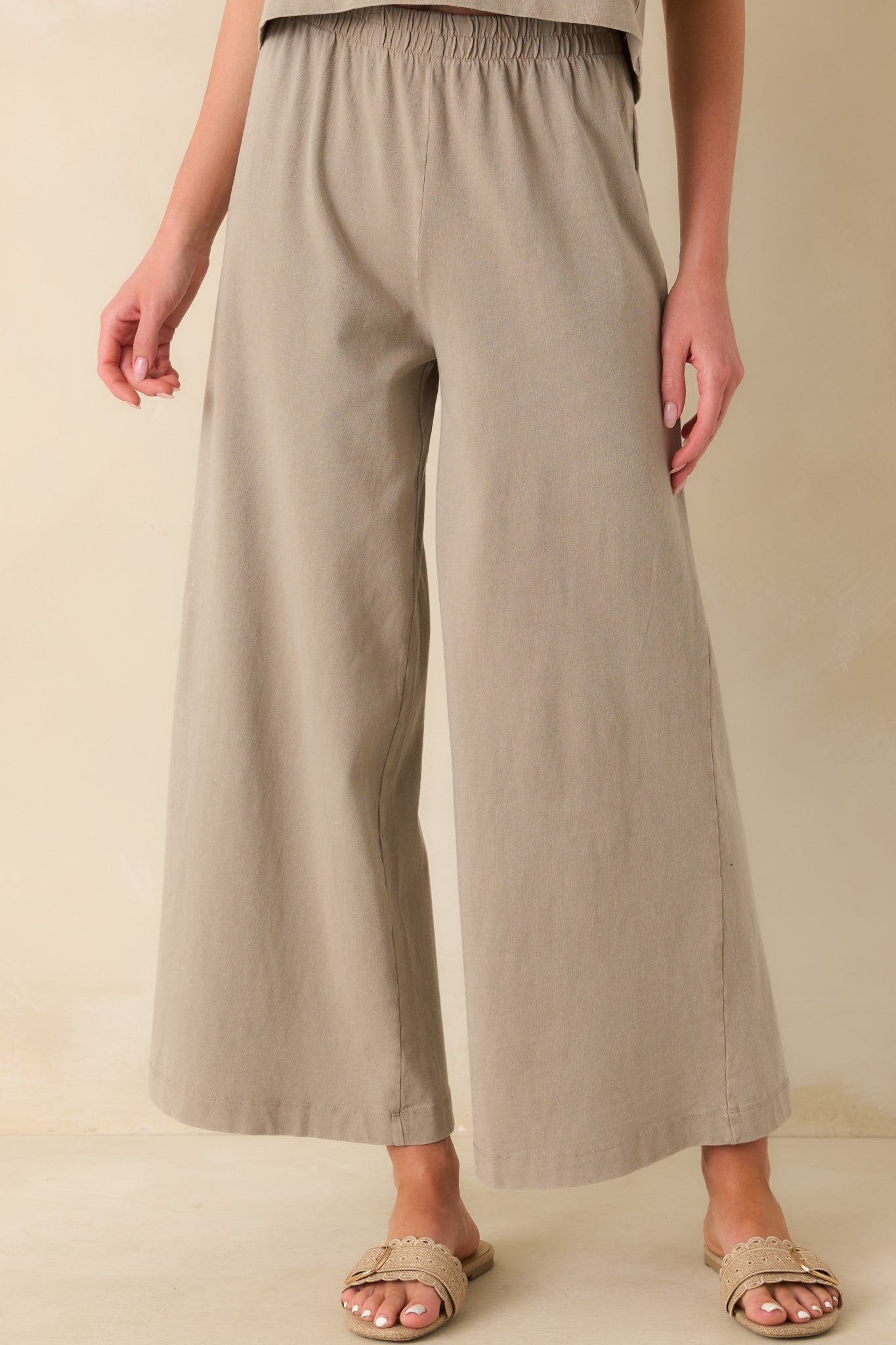 Z Supply Taupe Cotton Scout Jersey Pants