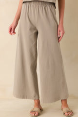 Z Supply Taupe Cotton Scout Jersey Pants
