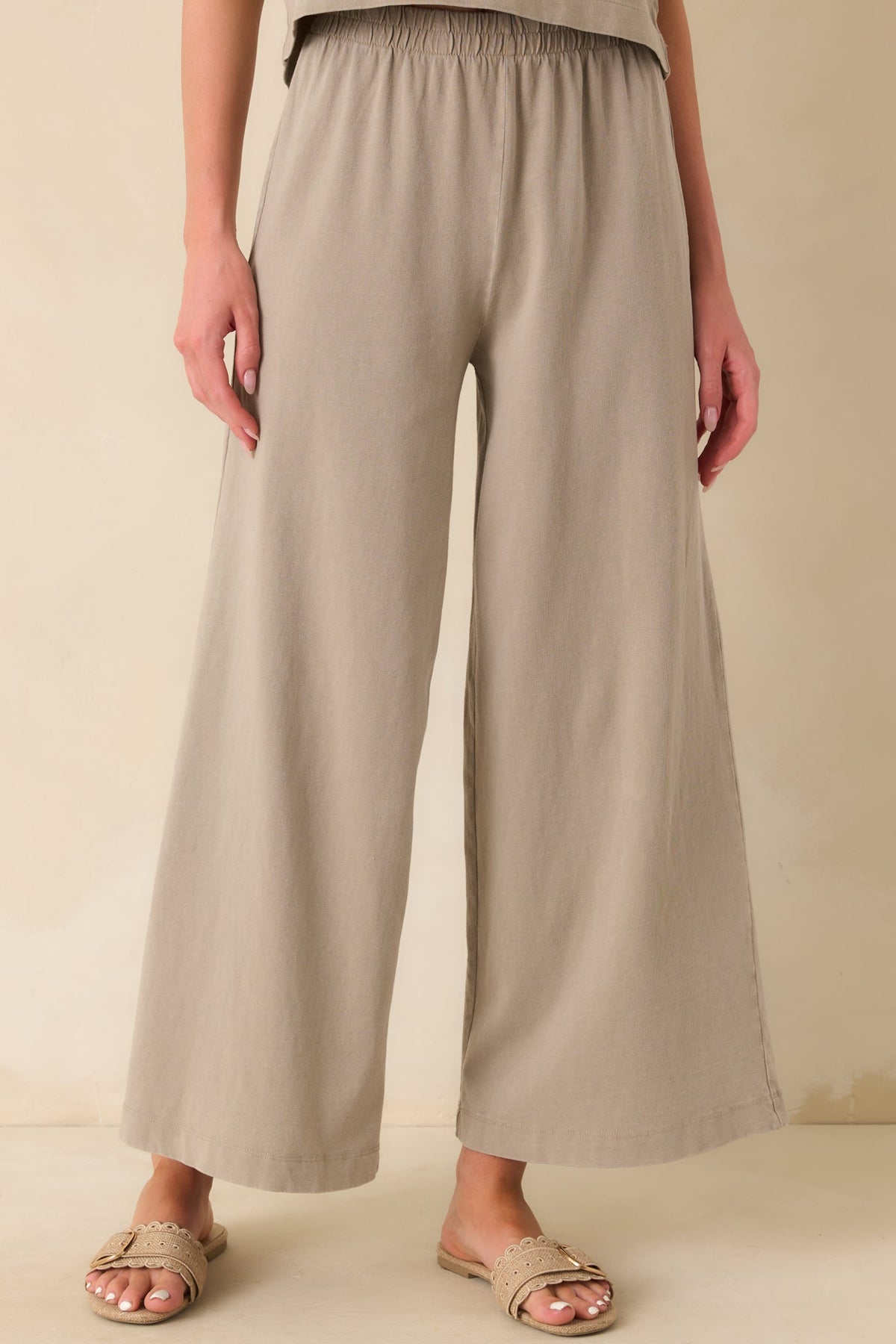 Z Supply Taupe Cotton Scout Jersey Pants